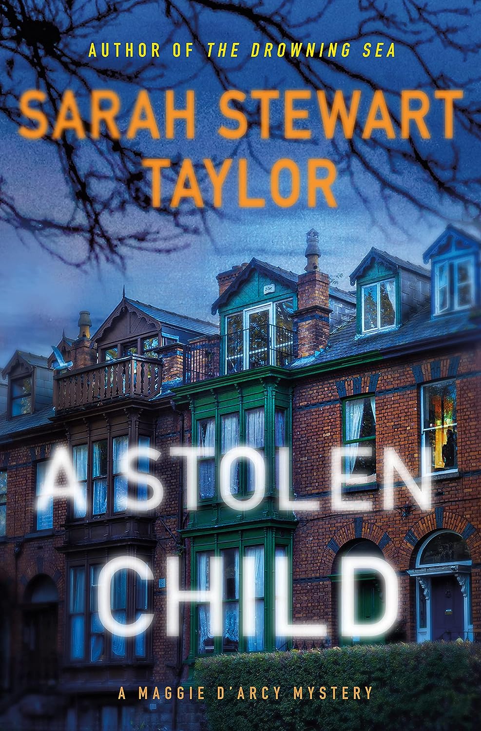 A Stolen Child: A Maggie D’arcy Mystery by Sarah Stewart Taylor