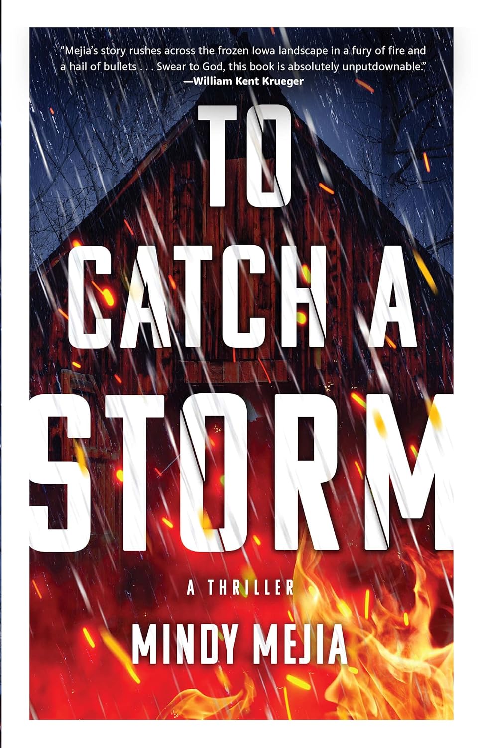 To Catch a Storm, by Mindy Mejia